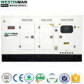 Second Hand Guter Zustand 303KVA Container 242 kW Stille 6LTAA8.9-G3 Japan Motor Diesel Generator Set Preis zum Verkauf zum Verkauf